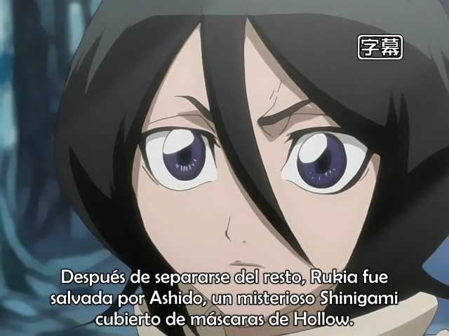Bleach (Frozen-Layer Fansub, Xtasy no Fansub, Anifuture Fansub, Nine Tails Fansub, Seigi Tamashi, Backbeard)
